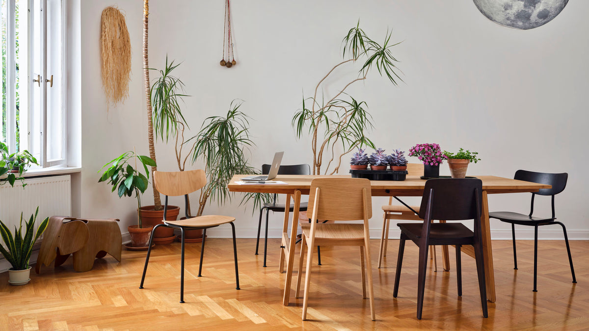 Židle Moca ve stylizované sestavě s Chaise Tout Bois, lifestylová fotografie